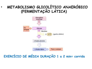 • METABOLISMO GLICOLÍTICO ANAERÓBICO
(FERMENTAÇÃO LÁTICA)
EXERCÍCIO DE MÉDIA DURAÇÃO 1 a 2 min= corrida
 