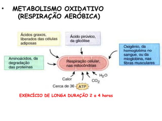 • METABOLISMO OXIDATIVO
(RESPIRAÇÃO AERÓBICA)
EXERCÍCIO DE LONGA DURAÇÃO 2 a 4 horas
 