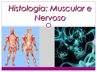 Histologia: Muscular e
       Nervoso
 