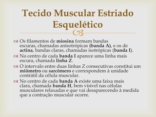 Tecido Muscular Estriado
Esquelético



 Os filamentos de miosina formam bandas
escuras, chamadas anisotrópicas (banda A), e os de
actina, bandas claras, chamadas isotrópicas (banda I).
 No centro de cada banda I aparece uma linha mais
escura, chamada linha Z.
 O intervalo entre duas linhas Z consecutivas constitui um
miômetro ou sarcômero e correspondem à unidade
contrátil da célula muscular.
 No centro de cada banda A existe uma faixa mais
clara, chamada banda H, bem visível nas células
musculares relaxadas e que vai desaparecendo à medida
que a contração muscular ocorre.

 