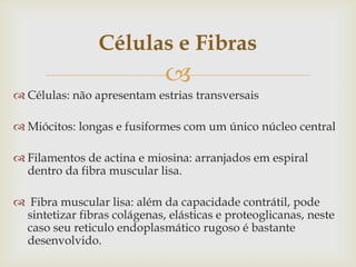 Células e Fibras


 Células: não apresentam estrias transversais

 Miócitos: longas e fusiformes com um único núcleo central
 Filamentos de actina e miosina: arranjados em espiral
dentro da fibra muscular lisa.
 Fibra muscular lisa: além da capacidade contrátil, pode
sintetizar fibras colágenas, elásticas e proteoglicanas, neste
caso seu reticulo endoplasmático rugoso é bastante
desenvolvido.

 