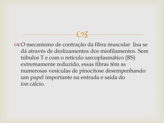 
 O mecanismo de contração da fibra muscular lisa se
dá através de deslizamentos dos miofilamentos. Sem
túbulos T e com o retículo sarcoplasmático (RS)
extremamente reduzido, essas fibras têm as
numerosas vesículas de pinocitose desempenhando
um papel importante na entrada e saída do
íon cálcio.

 