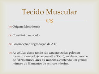 Tecido Muscular

 Origem: Mesoderma

 Constitui o musculo
 Locomoção e degradação de ATP

 As células desse tecido são caracterizadas pelo seu
formato alongado (chegam até a 30cm), recebem o nome
de fibras musculares ou miócitos, contendo um grande
número de filamentos de actina e miosina.

 