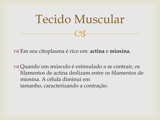Tecido Muscular

 Em seu citoplasma é rico em: actina e miosina.
 Quando um músculo é estimulado a se contrair, os
filamentos de actina deslizam entre os filamentos de
miosina. A célula diminui em
tamanho, caracterizando a contração.

 