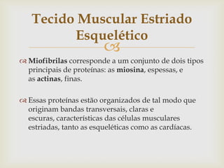 Tecido Muscular Estriado
Esquelético



 Miofibrilas corresponde a um conjunto de dois tipos
principais de proteínas: as miosina, espessas, e
as actinas, finas.
 Essas proteínas estão organizados de tal modo que
originam bandas transversais, claras e
escuras, características das células musculares
estriadas, tanto as esqueléticas como as cardíacas.

 