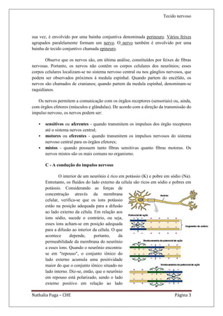 Tecido nervoso



sua vez, é envolvido por uma bainha conjuntiva denominada perineuro. Vários feixes
agrupados paralelamente formam um nervo. O nervo também é envolvido por uma
bainha de tecido conjuntivo chamada epineuro.

       Observe que os nervos são, em última análise, constituídos por feixes de fibras
nervosas. Portanto, os nervos não contêm os corpos celulares dos neurônios; esses
corpos celulares localizam-se no sistema nervoso central ou nos gânglios nervosos, que
podem ser observados próximos à medula espinhal. Quando partem do encéfalo, os
nervos são chamados de cranianos; quando partem da medula espinhal, denominam-se
raquidianos.

   Os nervos permitem a comunicação com os órgãos receptores (sensoriais) ou, ainda,
com órgãos efetores (músculos e glândulas). De acordo com a direção da transmissão do
impulso nervoso, os nervos podem ser:

      sensitivos ou aferentes - quando transmitem os impulsos dos órgão receptores
       até o sistema nervos central;
      motores ou eferentes - quando transmitem os impulsos nervosos do sistema
       nervoso central para os órgãos efetores;
      mistos - quando possuem tanto fibras sensitivas quanto fibras motoras. Os
       nervos mistos são os mais comuns no organismo.

       C - A condução do impulso nervoso

               O interior de um neurônio é rico em potássio (K) e pobre em sódio (Na).
       Entretanto, os fluidos do lado externo da célula são ricos em sódio e pobres em
       potássio. Considerando as forças de
       concentração através da membrana
       celular, verifica-se que os íons potássio
       estão na posição adequada para a difusão
       ao lado externo da célula. Em relação aos
       íons sódio, sucede o contrário, ou seja,
       esses íons acham-se em posição adequada
       para a difusão ao interior da célula. O que
       acontece      depende,      portanto,    da
       permeabilidade da membrana do neurônio
       a esses íons. Quando o neurônio encontra-
       se em "repouso", o conjunto iônico do
       lado externo acumula uma positividade
       maior do que o conjunto iônico situado no
       lado interno. Diz-se, então, que o neurônio
       em repouso está polarizado, sendo o lado
       externo positivo em relação ao lado

Nathalia Fuga – CHE                                                          Página 3
 
