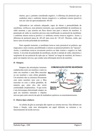 Tecido nervoso



       interno, que é, portanto considerado negativo. A diferença de potencial que se
       estabelece entre o ambiente interno (negativo) e o ambiente externo (positivo)
       tem um valor de aproximadamente -60 mV.

       Aplicando-se um estímulo adequado, capaz de alterar a permeabilidade da
membrana, verifica-se, num primeiro momento, que a permeabilidade da membrana ao
sódio aumenta, o que acarreta um fluxo desses íons para o interior do neurônio. A
penetração de sódio no neurônio provoca uma modificação no potencial da membrana:
o ambiente interno torna-se positivo e o ambiente externo torna-se negativo. Assim, a
diferença de potencial passa de -60 mV para cerca de +20 mV. Dizemos, então, que
houve uma inversão polaridade da membrana.

       Num segundo momento, a membrana torna-se mais permeável ao potássio, que
migra para o meio externo, possibilitando o retorno ao potencial primitivo de "repouso".
Assim, a membrana torna-se novamente positiva no lado externo e negativa no lado
interno. A inversão de polaridade da membrana, devido à entrada de sódio, determina o
surgimento de um potencial de ação que se "alastra" ao longo do neurônio, de forma a
gerar um impulso nervoso, que conduz uma informação através do neurônio.

D –Sinapses

       Sinapses são articulações terminais
estabelecidas entre um neurônio e outro ou
entre um neurônio e uma fibra muscular
ou um neurônio e uma célula glandular.
Um neurônio não se comunica fisicamente
com outro neurônio nem com a fibra
muscular ou com a célula glandular, de
maneira que, entre eles, não existe
continuidade citoplasmática. O que existe
é um microespaço denominado sinapse, na
qual um neurônio transmite o impulso
nervoso para outro através da ação de mediadores químicos ou neurotransmissores.

E –Outros tipos celulares

       As células da glia ou neuroglia dão suporte ao sistema nervoso. Elas diferem em
forma e função, cada uma desempenha um papel diferente na estrutura e no
funcionamento do tecido nervoso.




Nathalia Fuga – CHE                                                           Página 4
 