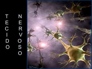 T   N
E   E
C   R
I   V
D   O
O   S
    O
 