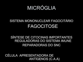 MICRÓGLIA

  SISTEMA MONONUCLEAR FAGOCITÁRIO
           FAGOCITOSE

  SÍNTESE DE CITOCINAS IMPORTANTES
    REGULADORAS DO SISTEMA IMUNE
        REPARADORAS DO SNC


CÉLULA APRESENTADORA DE
           ANTÍGENOS (C.A.A)
 