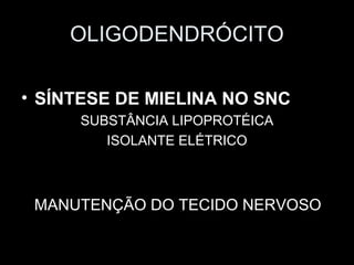 OLIGODENDRÓCITO

• SÍNTESE DE MIELINA NO SNC
     SUBSTÂNCIA LIPOPROTÉICA
        ISOLANTE ELÉTRICO



 MANUTENÇÃO DO TECIDO NERVOSO
 