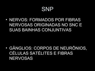 SNP
• NERVOS: FORMADOS POR FIBRAS
  NERVOSAS ORIGINADAS NO SNC E
  SUAS BAINHAS CONJUNTIVAS



• GÂNGLIOS: CORPOS DE NEURÔNIOS,
  CÉLULAS SATÉLITES E FIBRAS
  NERVOSAS
 