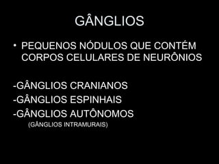 GÂNGLIOS
• PEQUENOS NÓDULOS QUE CONTÉM
  CORPOS CELULARES DE NEURÔNIOS

-GÂNGLIOS CRANIANOS
-GÂNGLIOS ESPINHAIS
-GÂNGLIOS AUTÔNOMOS
  (GÂNGLIOS INTRAMURAIS)
 