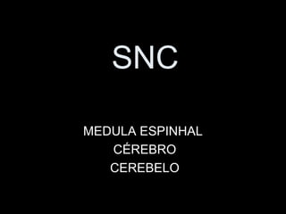 SNC

MEDULA ESPINHAL
   CÉREBRO
   CEREBELO
 
