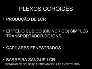 PLEXOS CORÓIDES
• PRODUÇÃO DE LCR

• EPITÉLIO CÚBICO (CILÍNDRICO) SIMPLES
  TRANSPORTADOR DE ÍONS

• CAPILARES FENESTRADOS

• BARREIRA SANGUE-LCR
(ZÔNULAS DE OCLUSÃO ENTRE AS CÉLULAS ENDOTELIAIS)
 