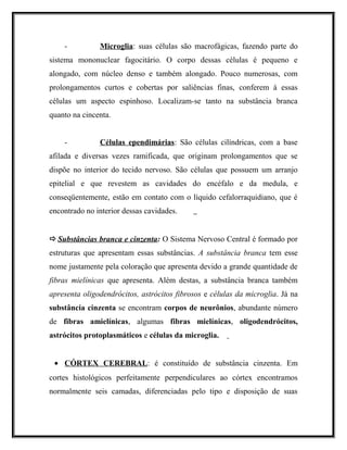 - Microglia: suas células são macrofágicas, fazendo parte do
sistema mononuclear fagocitário. O corpo dessas células é pequeno e
alongado, com núcleo denso e também alongado. Pouco numerosas, com
prolongamentos curtos e cobertas por saliências finas, conferem à essas
células um aspecto espinhoso. Localizam-se tanto na substância branca
quanto na cincenta.
- Células ependimárias: São células cilíndricas, com a base
afilada e diversas vezes ramificada, que originam prolongamentos que se
dispõe no interior do tecido nervoso. São células que possuem um arranjo
epitelial e que revestem as cavidades do encéfalo e da medula, e
conseqüentemente, estão em contato com o líquido cefalorraquidiano, que é
encontrado no interior dessas cavidades.
Substâncias branca e cinzenta: O Sistema Nervoso Central é formado por
estruturas que apresentam essas substâncias. A substância branca tem esse
nome justamente pela coloração que apresenta devido a grande quantidade de
fibras mielínicas que apresenta. Além destas, a substância branca também
apresenta oligodendrócitos, astrócitos fibrosos e células da microglia. Já na
substância cinzenta se encontram corpos de neurônios, abundante número
de fibras amielínicas, algumas fibras mielínicas, oligodendrócitos,
astrócitos protoplasmáticos e células da microglia.
• CÓRTEX CEREBRAL: é constituído de substância cinzenta. Em
cortes histológicos perfeitamente perpendiculares ao córtex encontramos
normalmente seis camadas, diferenciadas pelo tipo e disposição de suas
 