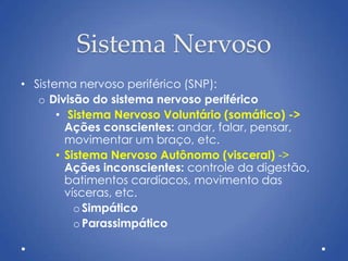 Sistema Nervoso
• Sistema nervoso periférico (SNP):
o Divisão do sistema nervoso periférico
• Sistema Nervoso Voluntário (somático) ->
Ações conscientes: andar, falar, pensar,
movimentar um braço, etc.
• Sistema Nervoso Autônomo (visceral) ->
Ações inconscientes: controle da digestão,
batimentos cardíacos, movimento das
vísceras, etc.
oSimpático
oParassimpático
 