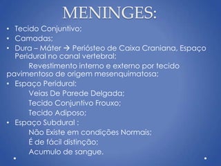 MENINGES:
• Tecido Conjuntivo;
• Camadas;
• Dura – Máter  Periósteo de Caixa Craniana, Espaço
Peridural no canal vertebral;
Revestimento interno e externo por tecido
pavimentoso de origem mesenquimatosa;
• Espaço Peridural:
Veias De Parede Delgada;
Tecido Conjuntivo Frouxo;
Tecido Adiposo;
• Espaço Subdural :
Não Existe em condições Normais;
É de fácil distinção;
Acumulo de sangue.
 