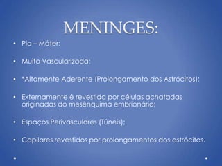 MENINGES:
• Pia – Máter:
• Muito Vascularizada;
• *Altamente Aderente (Prolongamento dos Astrócitos);
• Externamente é revestida por células achatadas
originadas do mesênquima embrionário;
• Espaços Perivasculares (Túneis);
• Capilares revestidos por prolongamentos dos astrócitos.
 