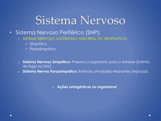 Sistema Nervoso
• Sistema Nervoso Periférico (SNP):
o SISTEMA NERVOSO AUTÔNOMO (VISCERAL OU VEGETATIVO):
• Simpático
• Parassimpático
o Sistema Nervoso Simpático: Prepara o organismo para o estresse (instinto
de fuga ou luta)
o Sistema Nervos Parassimpático: Estimula atividades relaxantes (repouso)
o Ações antagônicas no organismo!
 