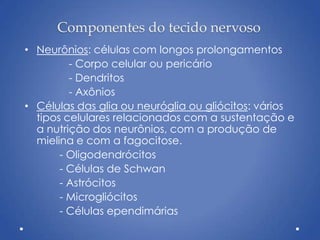 Componentes do tecido nervoso
• Neurônios: células com longos prolongamentos
- Corpo celular ou pericário
- Dendritos
- Axônios
• Células das glia ou neuróglia ou gliócitos: vários
tipos celulares relacionados com a sustentação e
a nutrição dos neurônios, com a produção de
mielina e com a fagocitose.
- Oligodendrócitos
- Células de Schwan
- Astrócitos
- Microgliócitos
- Células ependimárias
 