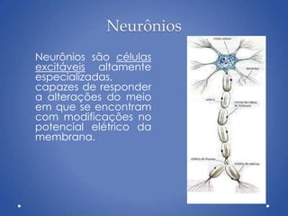 Neurônios
Neurônios são células
excitáveis altamente
especializadas,
capazes de responder
a alterações do meio
em que se encontram
com modificações no
potencial elétrico da
membrana.
 