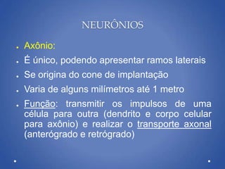 NEURÔNIOS
● Axônio:
● É único, podendo apresentar ramos laterais
● Se origina do cone de implantação
● Varia de alguns milímetros até 1 metro
● Função: transmitir os impulsos de uma
célula para outra (dendrito e corpo celular
para axônio) e realizar o transporte axonal
(anterógrado e retrógrado)
 