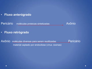 • Fluxo anterógrado
Pericário moléculas proteicas sintetizadas Axônio
• Fluxo retrógrado
Axônio moléculas diversas para serem reutilizadas Pericário
material captado por endocitose (vírus ,toxinas)
 