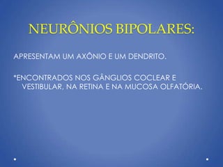 NEURÔNIOS BIPOLARES:
APRESENTAM UM AXÔNIO E UM DENDRITO.
*ENCONTRADOS NOS GÂNGLIOS COCLEAR E
VESTIBULAR, NA RETINA E NA MUCOSA OLFATÓRIA.
 