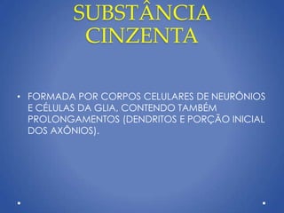 SUBSTÂNCIA
CINZENTA
• FORMADA POR CORPOS CELULARES DE NEURÔNIOS
E CÉLULAS DA GLIA, CONTENDO TAMBÉM
PROLONGAMENTOS (DENDRITOS E PORÇÃO INICIAL
DOS AXÔNIOS).
 