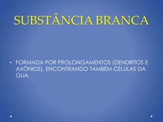 SUBSTÂNCIA BRANCA
• FORMADA POR PROLONGAMENTOS (DENDRITOS E
AXÔNIOS), ENCONTRANDO TAMBÉM CÉLULAS DA
GLIA.
 