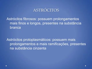 ASTRÓCITOS
Astrócitos fibrosos: possuem prolongamentos
mais finos e longos, presentes na substância
branca
Astrócitos protoplasmáticos: possuem mais
prolongamentos e mais ramificações, presentes
na substância cinzenta
 