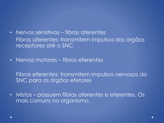 • Nervos sensitivos – fibras aferentes
Fibras aferentes: transmitem impulsos dos órgãos
receptores até o SNC
• Nervos motores – fibras eferentes
Fibras eferentes: transmitem impulsos nervosos do
SNC para os órgãos efetores
• Mistos – possuem fibras aferentes e eferentes. Os
mais comuns no organismo.
 