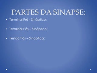 • Terminal Pré - Sináptico;
• Terminal Pós – Sináptico;
• Fenda Pós – Sináptica;
PARTES DA SINAPSE:
 
