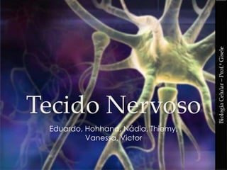 Tecido Nervoso
Eduardo, Hohhana, Nádia, Thiemy,
Vanessa, Victor
BiologiaCelular–Prof.ªGisele
 
