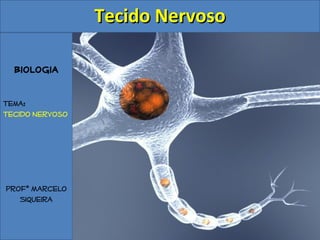 Biologia
Tema:
Tecido Nervoso
Profº Marcelo
Siqueira
Tecido NervosoTecido Nervoso
 