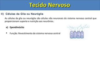 Tecido NervosoTecido Nervoso
II) Células da Glia ou Neuróglia
As células da glia ou neuróglia são células não neuronais do sistema nervoso central que
proporcionam suporte e nutrição aos neurônios.
e) Ependimócito
 Função: Revestimento do sistema nervoso central
 