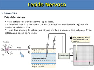 Tecido NervosoTecido Nervoso
I) Neurônios
Potencial de repouso
 Nesse estágio o neurônio encontra-se polarizado.
 A superfície interna da membrana plasmática mantém-se eletricamente negativa em
relação superfície externa.
 Isso se deve a bomba de sódio e potássio que bombeia ativamente íons sódio para fora e
potássio para dentro do neurônio.
 