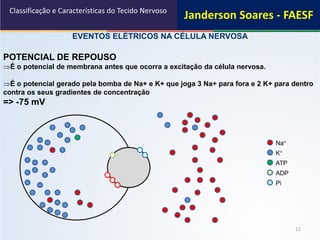 11
EVENTOS ELÉTRICOS NA CÉLULA NERVOSA
POTENCIAL DE REPOUSO
É o potencial de membrana antes que ocorra a excitação da célula nervosa.
É o potencial gerado pela bomba de Na+ e K+ que joga 3 Na+ para fora e 2 K+ para dentro
contra os seus gradientes de concentração
=> -75 mV
Classificação e Características do Tecido Nervoso
Na+
K+
ATP
ADP
Pi
Janderson Soares - FAESF
 