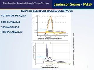 12
EVENTOS ELÉTRICOS NA CÉLULA NERVOSA
POTENCIAL DE AÇÃO
DESPOLARIZAÇÃO
REPOLARIZAÇÃO
HIPERPOLARIZAÇÃO
Classificação e Características do Tecido Nervoso
Imagem:Medicina82/GNUFreeDocumentationLicense
Janderson Soares - FAESF
 