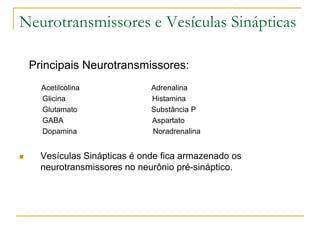 Neurotransmissores e Vesículas Sinápticas
Principais Neurotransmissores:
Acetilcolina Adrenalina
Glicina Histamina
Glutamato Substância P
GABA Aspartato
Dopamina Noradrenalina
 Vesículas Sinápticas é onde fica armazenado os
neurotransmissores no neurônio pré-sináptico.
 