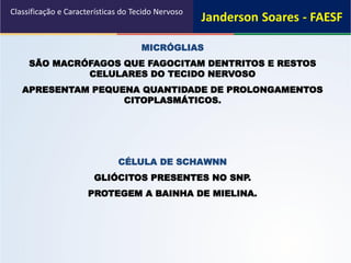 MICRÓGLIAS
SÃO MACRÓFAGOS QUE FAGOCITAM DENTRITOS E RESTOS
CELULARES DO TECIDO NERVOSO
APRESENTAM PEQUENA QUANTIDADE DE PROLONGAMENTOS
CITOPLASMÁTICOS.
CÉLULA DE SCHAWNN
GLIÓCITOS PRESENTES NO SNP.
PROTEGEM A BAINHA DE MIELINA.
Classificação e Características do Tecido Nervoso
 
