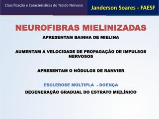 NEUROFIBRAS MIELINIZADAS
APRESENTAM BAINHA DE MIELINA
AUMENTAM A VELOCIDADE DE PROPAGAÇÃO DE IMPULSOS
NERVOSOS
APRESENTAM O NÓDULOS DE RANVIER
ESCLEROSE MÚLTIPLA - DOENÇA
DEGENERAÇÃO GRADUAL DO ESTRATO MIELÍNICO
Classificação e Características do Tecido Nervoso
 