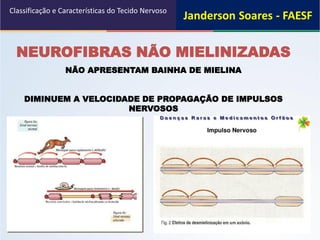 NEUROFIBRAS NÃO MIELINIZADAS
NÃO APRESENTAM BAINHA DE MIELINA
DIMINUEM A VELOCIDADE DE PROPAGAÇÃO DE IMPULSOS
NERVOSOS
Classificação e Características do Tecido Nervoso
 