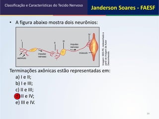 • A figura abaixo mostra dois neurônios:
Terminações axônicas estão representadas em:
a) I e II;
b) I e III;
c) II e III;
d) II e IV;
e) III e IV.
34
Classificação e Características do Tecido Nervoso
Imagem:SEE-PE,redesenhadoa
partirdeimagemdeAutor
Desconhecido.
 