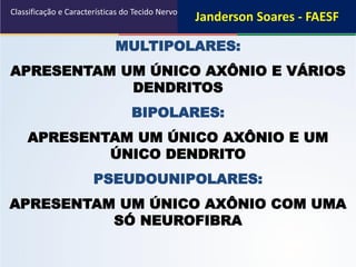 MULTIPOLARES:
APRESENTAM UM ÚNICO AXÔNIO E VÁRIOS
DENDRITOS
BIPOLARES:
APRESENTAM UM ÚNICO AXÔNIO E UM
ÚNICO DENDRITO
PSEUDOUNIPOLARES:
APRESENTAM UM ÚNICO AXÔNIO COM UMA
SÓ NEUROFIBRA
Classificação e Características do Tecido Nervoso
Janderson Soares - FAESF
 