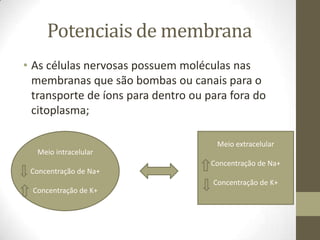 Potenciais de membrana
• As células nervosas possuem moléculas nas
membranas que são bombas ou canais para o
transporte de íons para dentro ou para fora do
citoplasma;
Meio intracelular
Concentração de Na+
Concentração de K+
Meio extracelular
Concentração de Na+
Concentração de K+
 