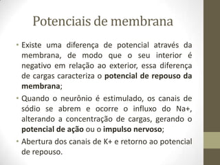 Potenciais de membrana
• Existe uma diferença de potencial através da
membrana, de modo que o seu interior é
negativo em relação ao exterior, essa diferença
de cargas caracteriza o potencial de repouso da
membrana;
• Quando o neurônio é estimulado, os canais de
sódio se abrem e ocorre o influxo do Na+,
alterando a concentração de cargas, gerando o
potencial de ação ou o impulso nervoso;
• Abertura dos canais de K+ e retorno ao potencial
de repouso.
 