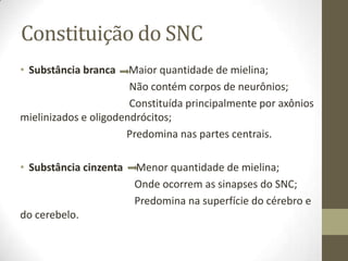 Constituição do SNC
• Substância branca Maior quantidade de mielina;
Não contém corpos de neurônios;
Constituída principalmente por axônios
mielinizados e oligodendrócitos;
Predomina nas partes centrais.
• Substância cinzenta Menor quantidade de mielina;
Onde ocorrem as sinapses do SNC;
Predomina na superfície do cérebro e
do cerebelo.
 