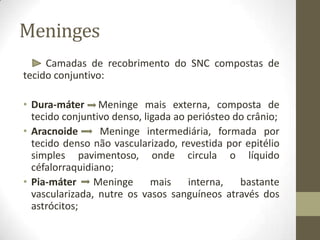 Meninges
Camadas de recobrimento do SNC compostas de
tecido conjuntivo:
• Dura-máter Meninge mais externa, composta de
tecido conjuntivo denso, ligada ao periósteo do crânio;
• Aracnoide Meninge intermediária, formada por
tecido denso não vascularizado, revestida por epitélio
simples pavimentoso, onde circula o líquido
céfalorraquidiano;
• Pia-máter Meninge mais interna, bastante
vascularizada, nutre os vasos sanguíneos através dos
astrócitos;
 