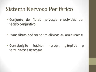 Sistema Nervoso Periférico
• Conjunto de fibras nervosas envolvidas por
tecido conjuntivo;
• Essas fibras podem ser mielínicas ou amielínicas;
• Constituição básica: nervos, gânglios e
terminações nervosas;
 